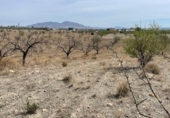Non-developable land for sale in Huércal-Overa ref: TR109543 photo