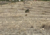 Non-developable land for sale in Huércal-Overa ref: TR109543 photo