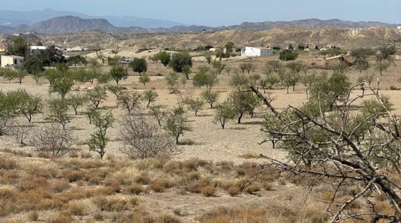 Almería - Huércal-Overa - 16200m2