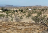 Terreny no urbanitzable en venda a Huércal-Overa ref.: TR253705 foto