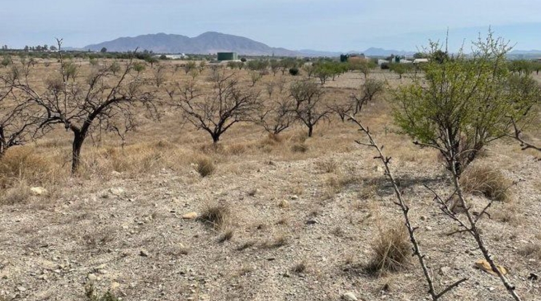 Almería - Huércal-Overa - 16200m2