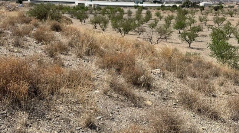 Almería - Huércal-Overa - 11113m2