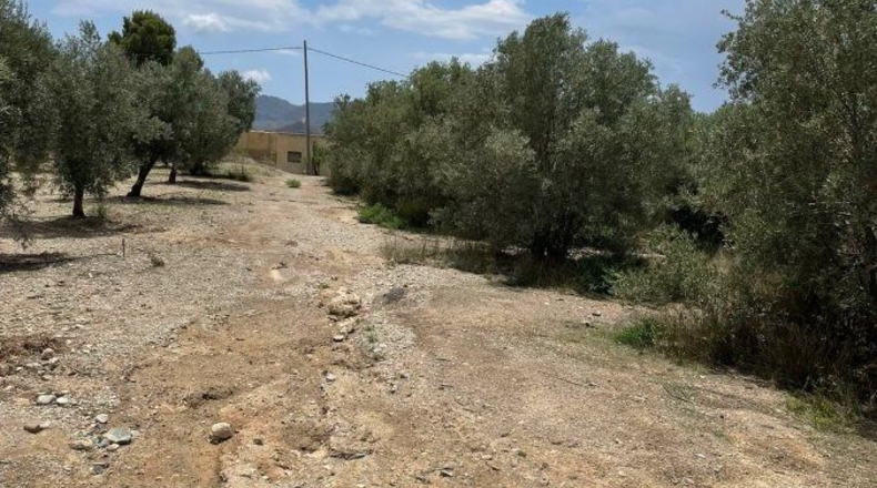 Almería - Huércal-Overa - 61182m2