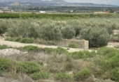Terreny no urbanitzable en venda a Huércal-Overa ref.: TR109545 foto