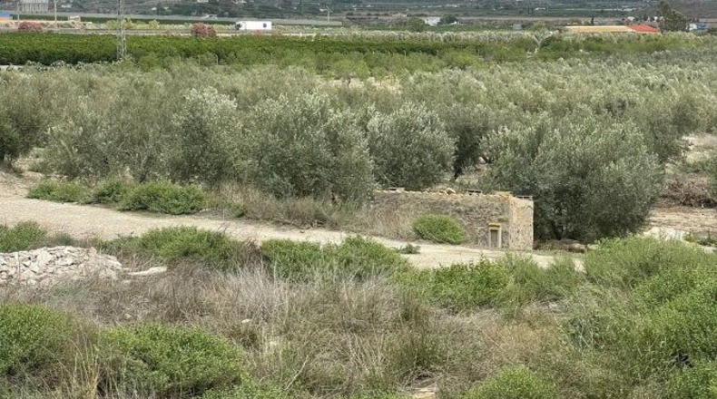 Almería - Huércal-Overa - 61182m2
