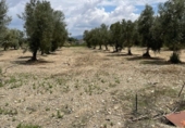 Terreny no urbanitzable en venda a Huércal-Overa ref.: TR109545 foto