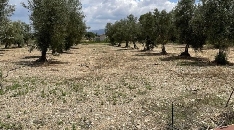 Almería - Huércal-Overa - 61182m2
