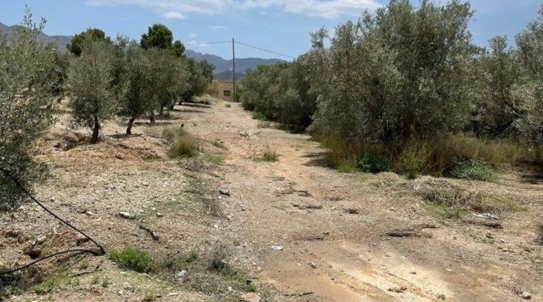 Almería - Huércal-Overa - 61182m2