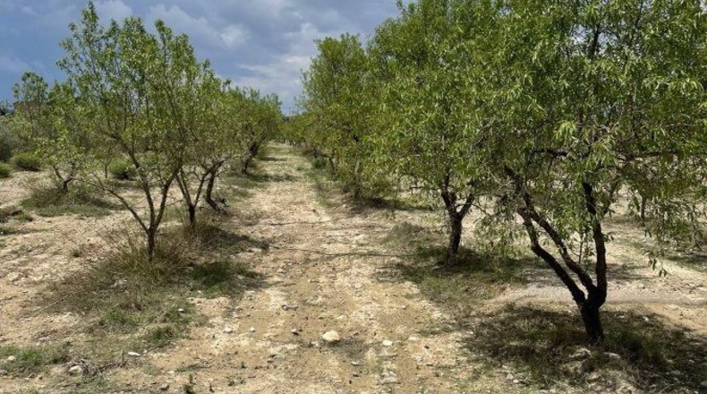 Almería - Huércal-Overa - 61182m2