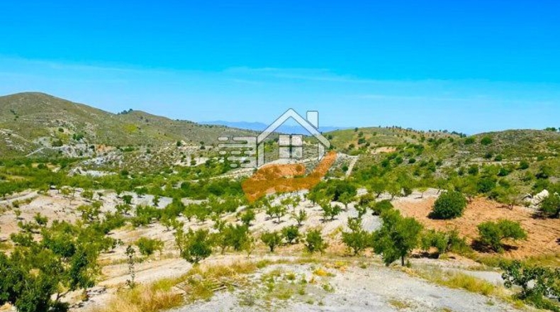 Murcia - Henares - 85000m2