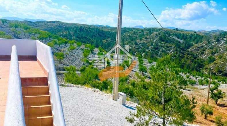 Murcia - Henares - 85000m2