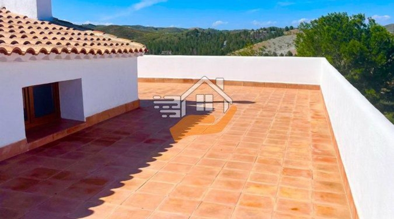 Murcia - Henares - 85000m2