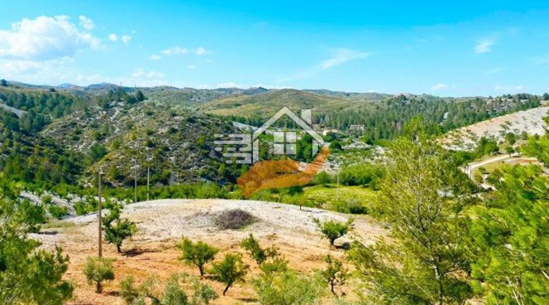Murcia - Henares - 85000m2