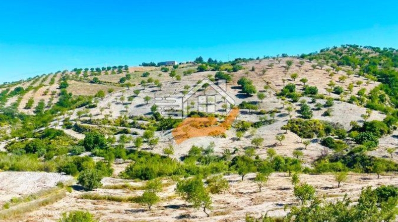 Murcia - Henares - 85000m2