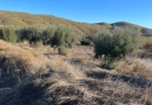 Finca rústica en venda a Lorca ref.: TR185571 foto