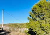 Finca rústica en venda a Lorca ref.: TR185571 foto