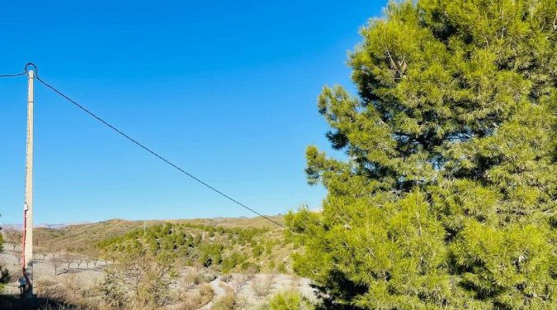 Murcia - Henares - 85000m2