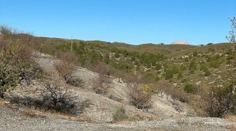 Murcia - Henares - 85000m2