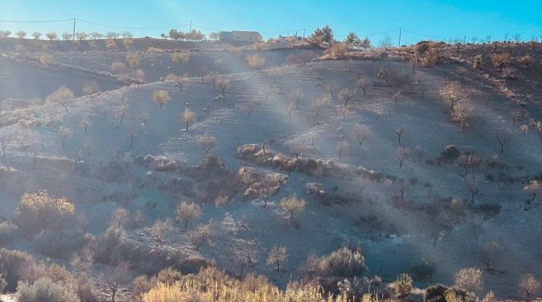 Murcia - Henares - 85000m2