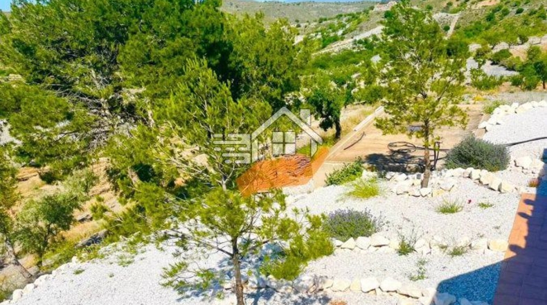 Murcia - Henares - 85000m2