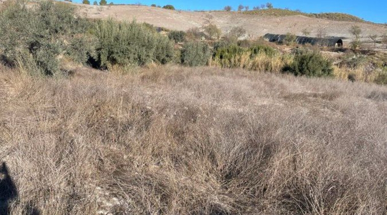 Murcia - Henares - 85000m2