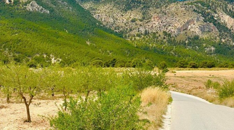 Murcia - Lorca - 200000m2