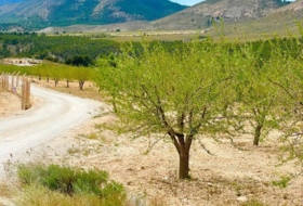 Lorca 200000&nbsp;m²