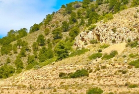 Lorca 200000&nbsp;m²