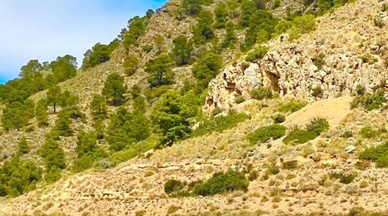 Murcia - Lorca - 200000m2