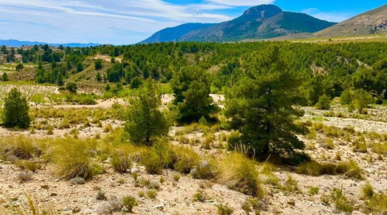 Murcia - Lorca - 200000m2