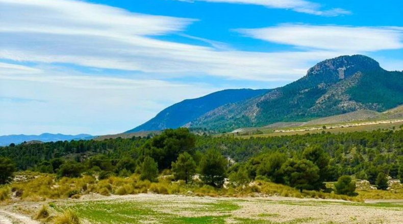 Murcia - Lorca - 200000m2