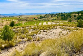 Lorca 200000&nbsp;m²