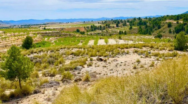 Murcia - Lorca - 200000m2