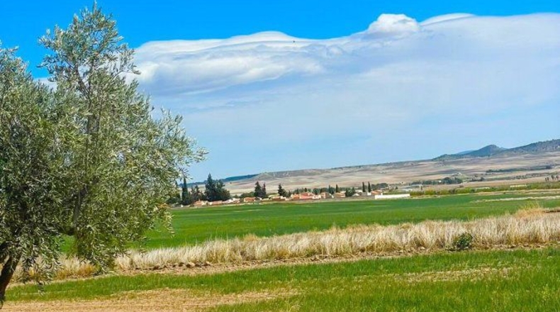 Murcia - Lorca - 200000m2