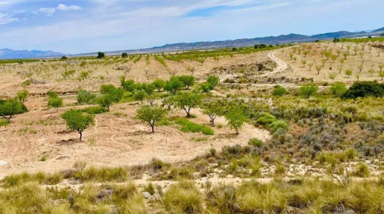 Murcia - Lorca - 200000m2