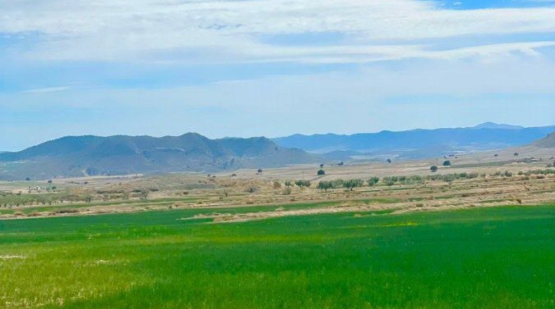 Murcia - Lorca - 200000m2