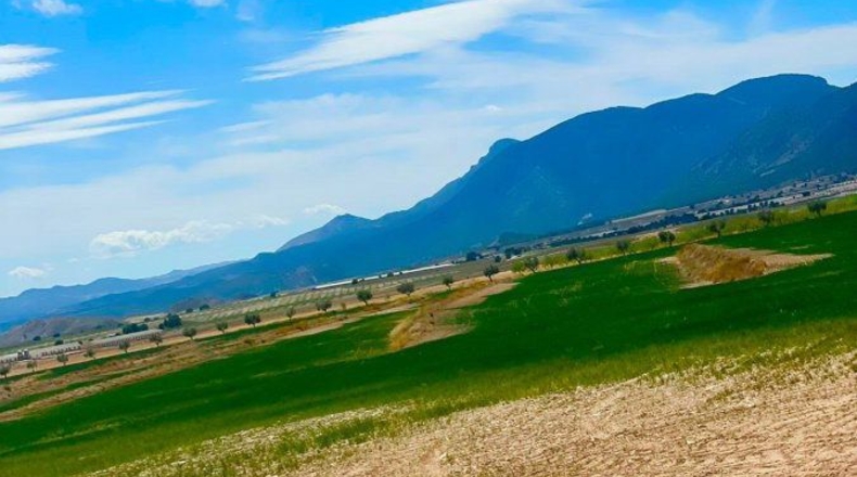 Murcia - Lorca - 200000m2