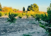Non-developable land for sale in Molina de Segura ref: TR109549 photo