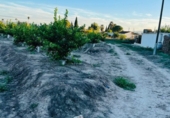 Non-developable land for sale in Molina de Segura ref: TR109549 photo