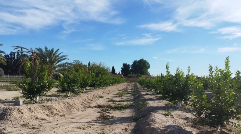 Murcia - El Llano - 16770m2
