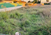 Non-developable land for sale in Molina de Segura ref: TR109550 photo