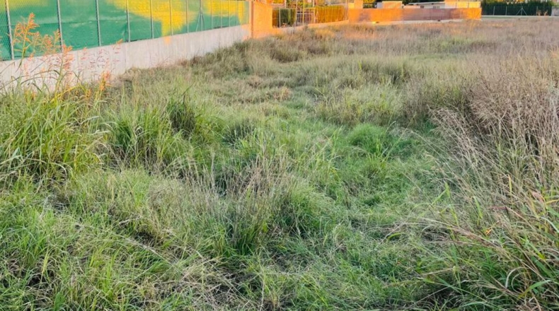Murcia - El Llano - 3300m2