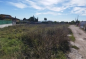 Non-developable land for sale in Molina de Segura ref: TR109550 photo