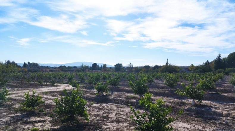 Murcia - El Llano - 20600m2