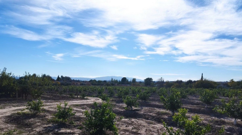 Murcia - El Llano - 20600m2