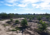 Land suitable for development for sale in Molina de Segura ref: TR109551 photo