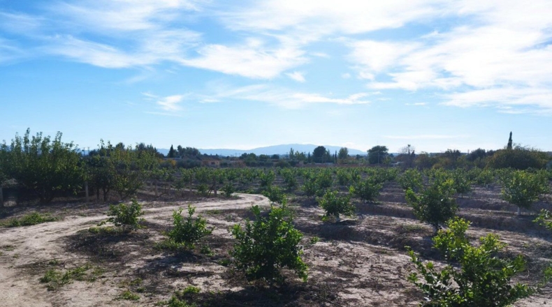 Murcia - El Llano - 20600m2