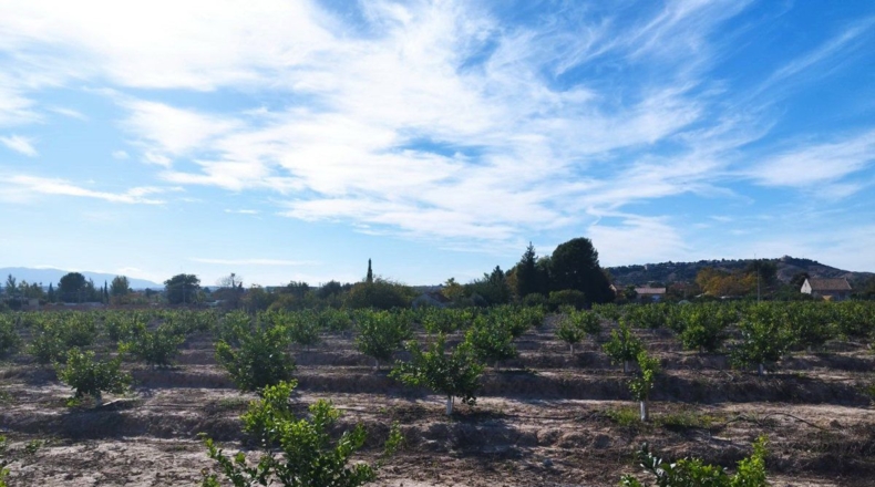 Murcia - El Llano - 20600m2