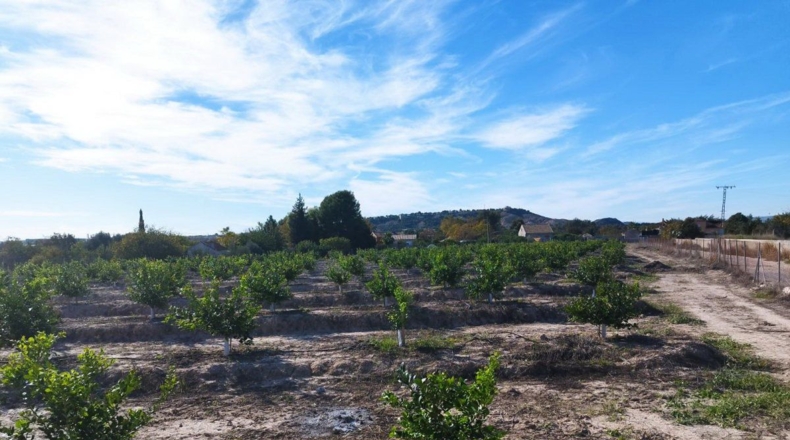 Murcia - El Llano - 20600m2