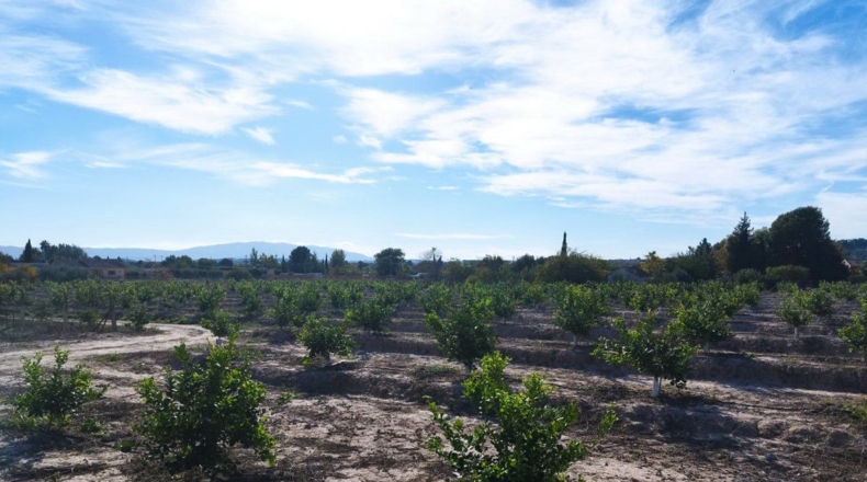 Murcia - El Llano - 20600m2
